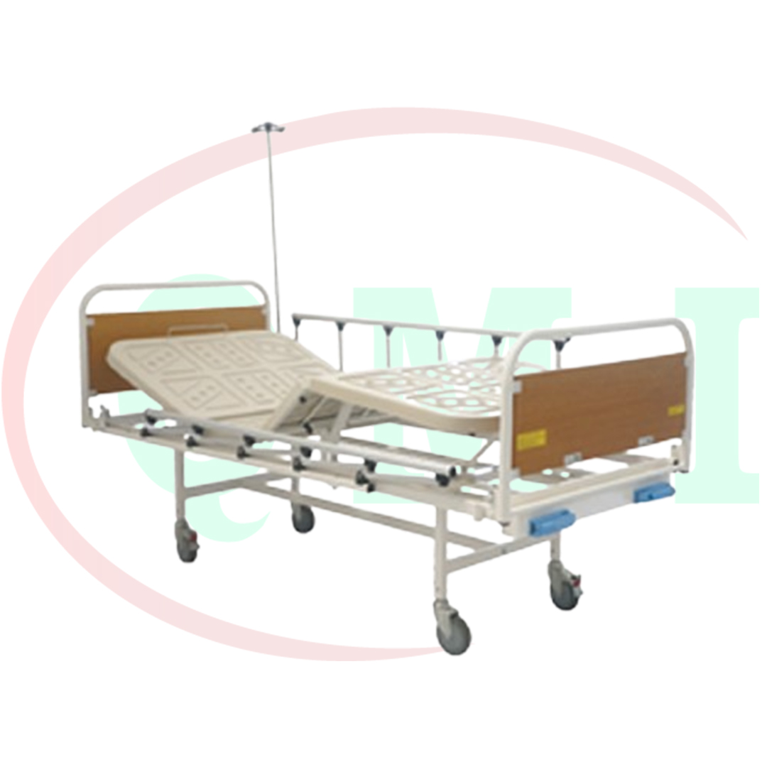 Hospital Bed (ECO 01-12CP)